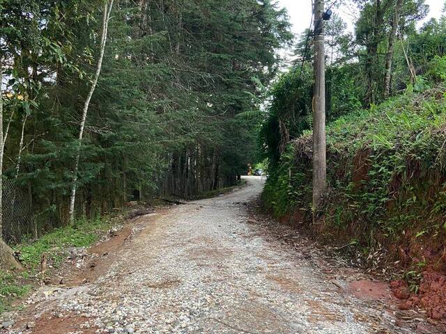 #262 - Área para Venda em Campos do Jordão - SP - 1