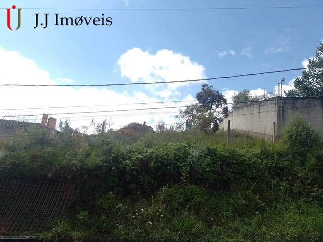 #281 - Área para Venda em Campos do Jordão - SP - 2