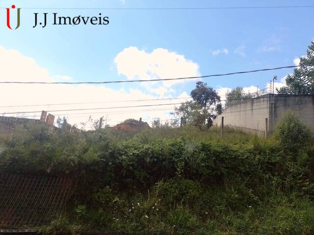 #281 - Área para Venda em Campos do Jordão - SP - 3