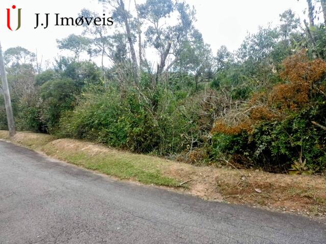#302 - Área para Venda em Campos do Jordão - SP - 2