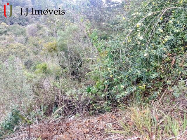 #302 - Área para Venda em Campos do Jordão - SP - 3