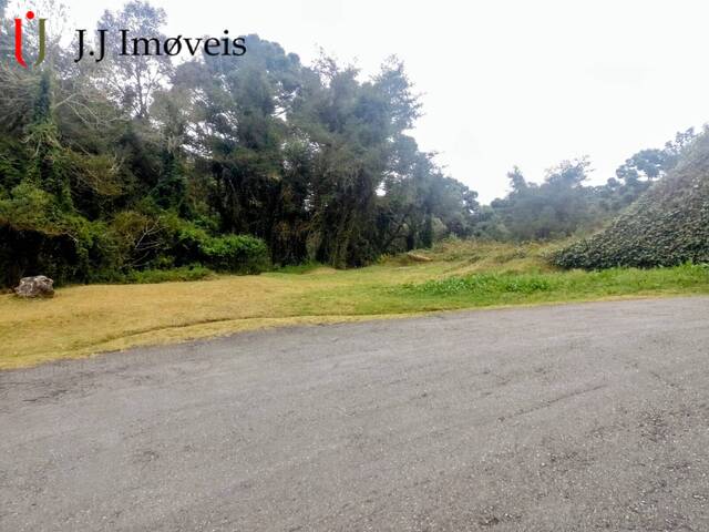 Área para Venda em Campos do Jordão - 5