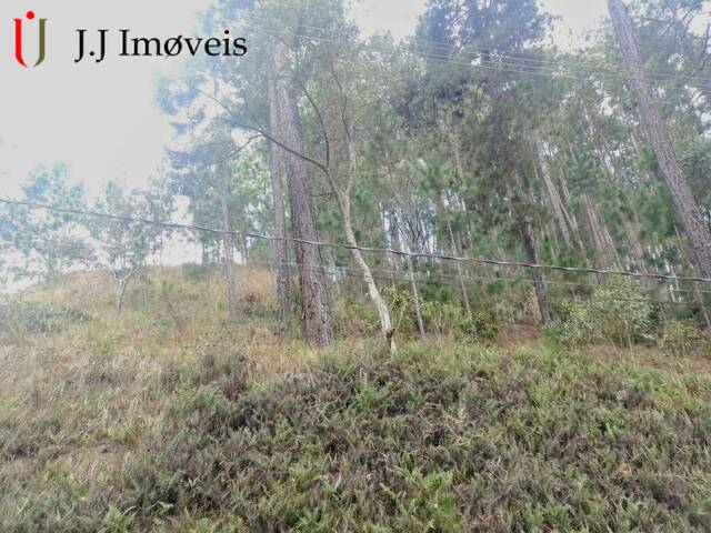 #304 - Área para Venda em Campos do Jordão - SP - 3