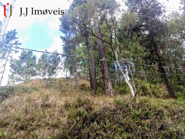 Venda em Condomínio Yporanga - Campos do Jordão