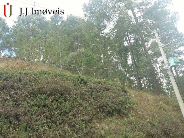 #304 - Área para Venda em Campos do Jordão - SP - 2