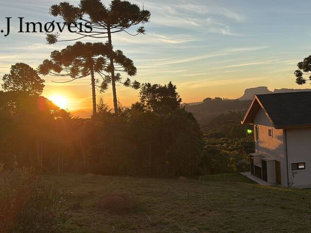 #305 - Área para Venda em Campos do Jordão - SP - 3
