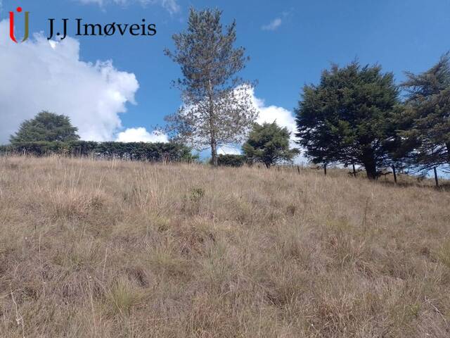 #316 - Área para Venda em Campos do Jordão - SP - 3