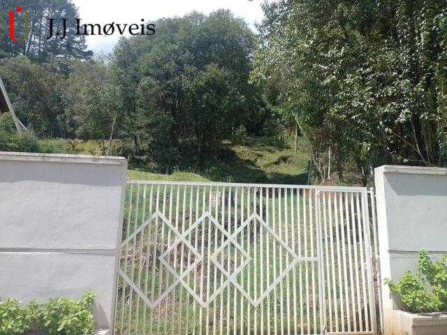 #317 - Área para Venda em Campos do Jordão - SP - 1