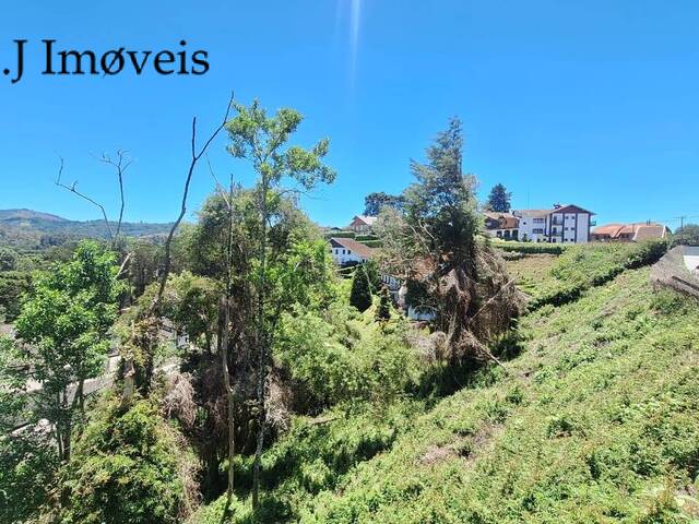 #324 - Área para Venda em Campos do Jordão - SP - 1