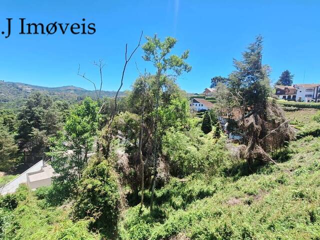 #324 - Área para Venda em Campos do Jordão - SP - 3