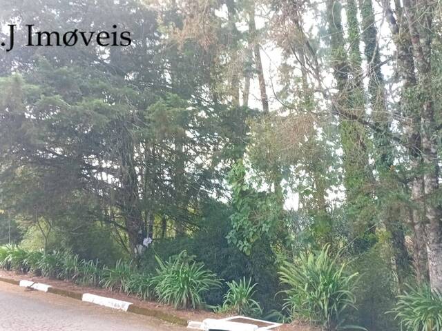 #390 - Área para Venda em Campos do Jordão - SP - 2