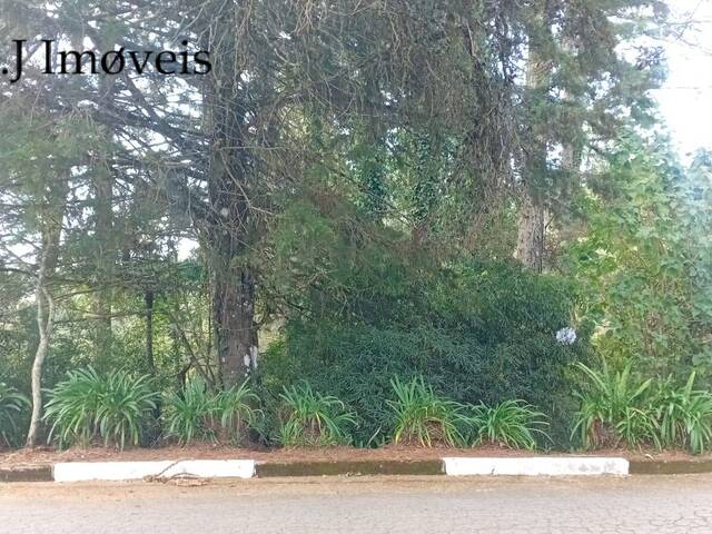 #390 - Área para Venda em Campos do Jordão - SP - 3